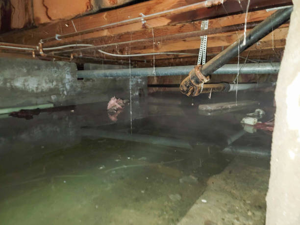 Best Commercial water damage restoration  in Encinitas, CA