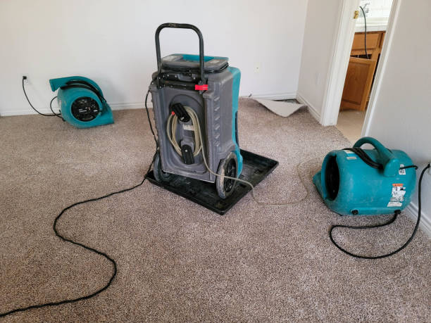 Best 24/7 water damage repair  in Encinitas, CA