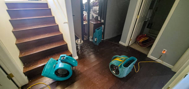 Professional Water damage restoration in Encinitas, CA