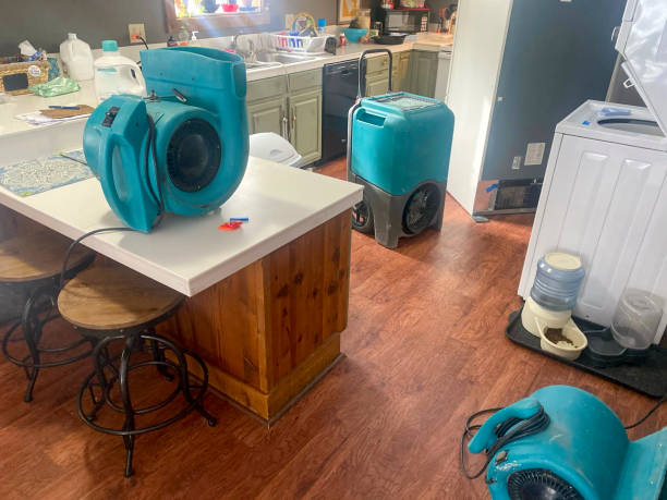 Best Water damage restoration specialists  in Encinitas, CA