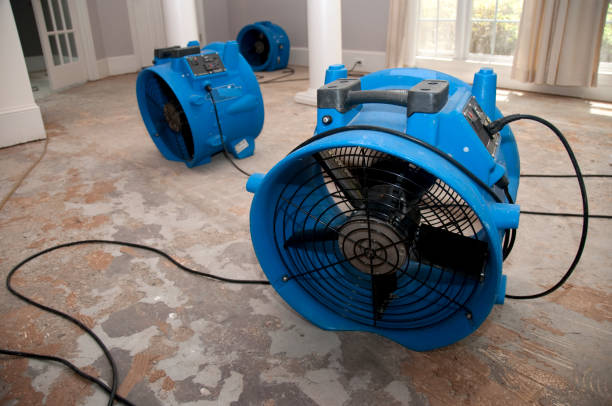Best Water damage restoration company  in Encinitas, CA