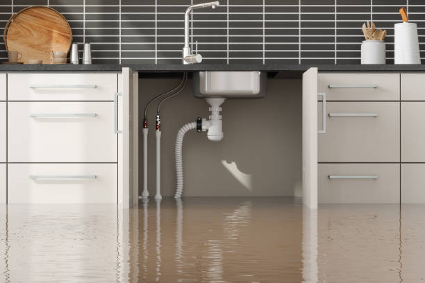 Best Flood restoration services  in Encinitas, CA
