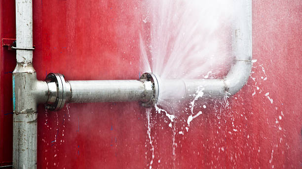 Best Flood restoration services  in Encinitas, CA